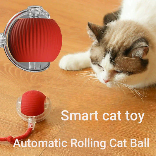 Rechargeable Interactive Cat Ball — Keeps Your Cat Entertained for Hours