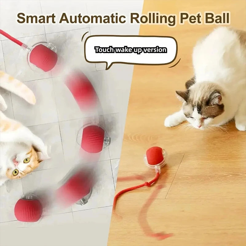 Rechargeable Interactive Cat Ball — Keeps Your Cat Entertained for Hours