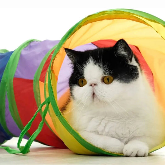 Foldable Cat Tunnel — Interactive Play Tunnel for Curious Cats