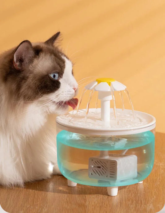 Automatic Cat Water Fountain — Silent & Filter Clean Water