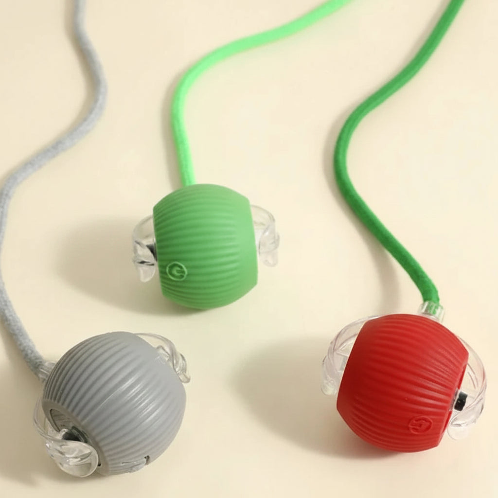Rechargeable Interactive Cat Ball — Keeps Your Cat Entertained for Hours
