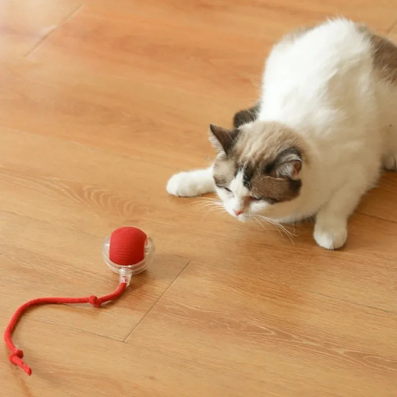 Rechargeable Interactive Cat Ball — Keeps Your Cat Entertained for Hours