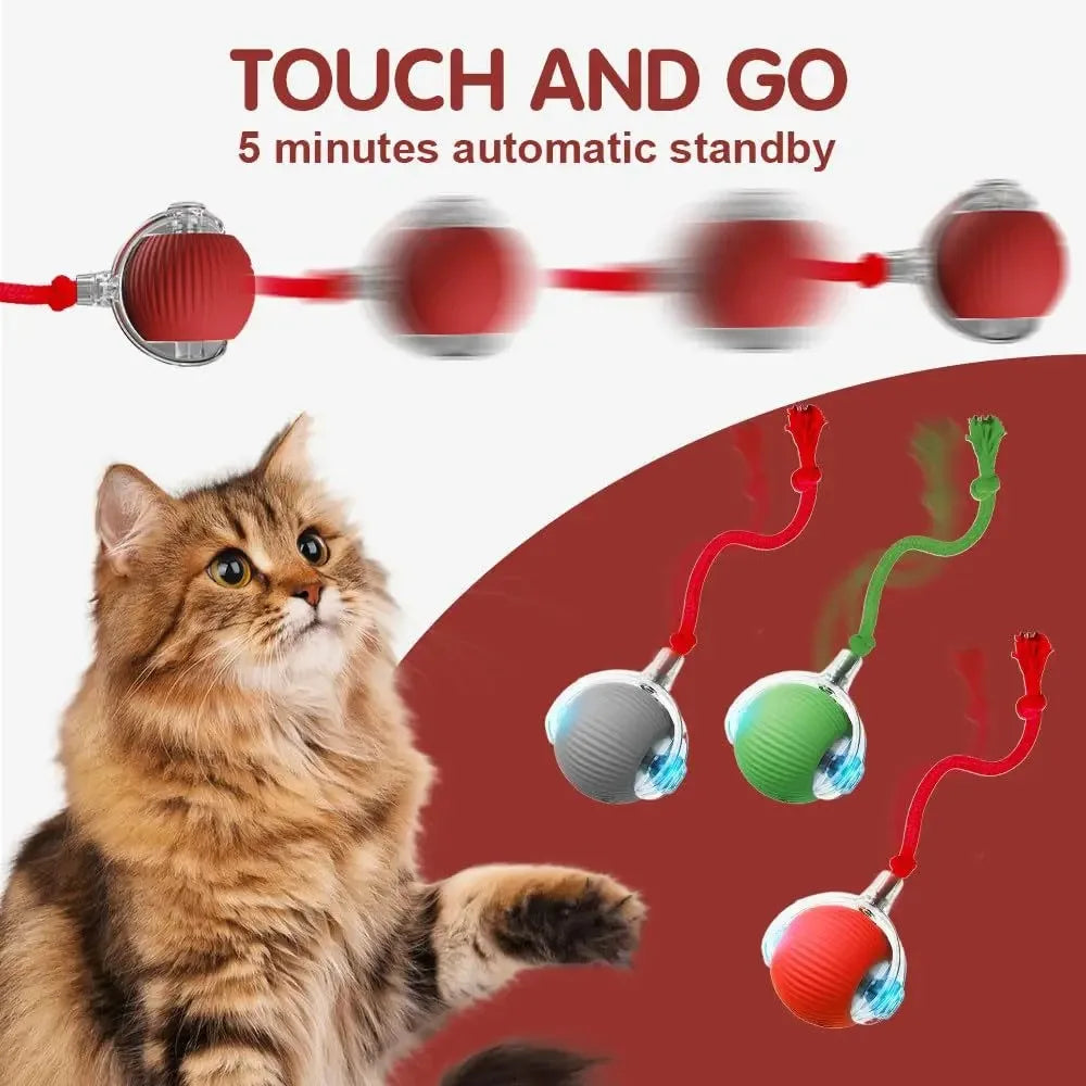 Rechargeable Interactive Cat Ball — Keeps Your Cat Entertained for Hours
