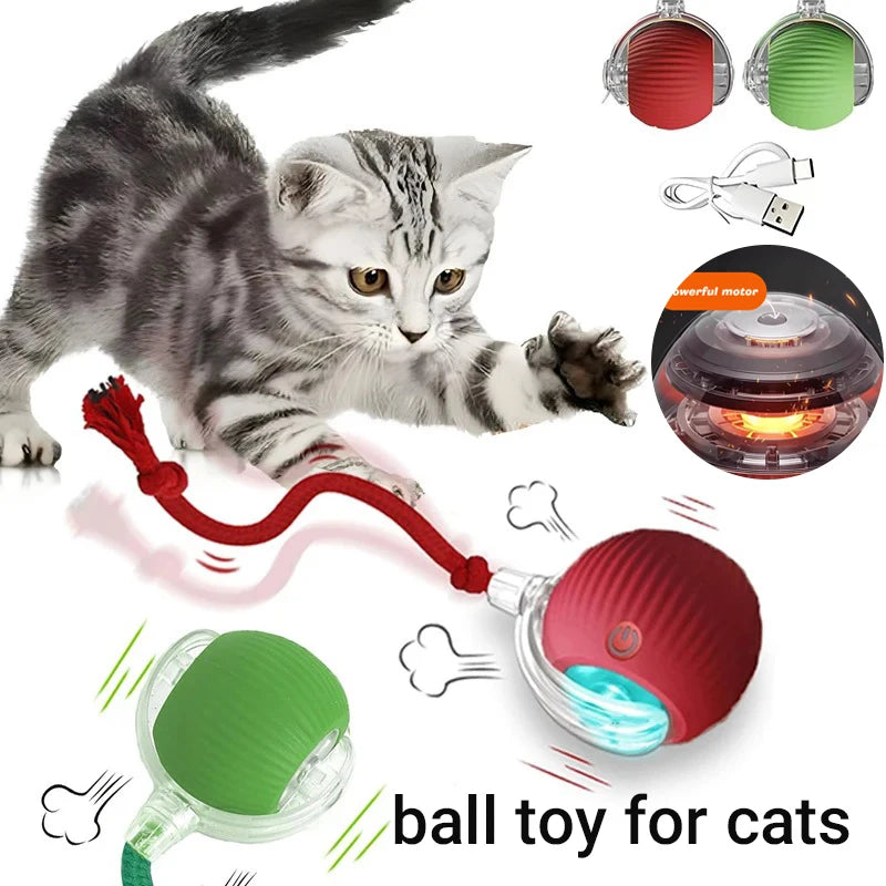 Rechargeable Interactive Cat Ball — Keeps Your Cat Entertained for Hours