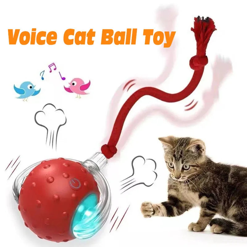 Rechargeable Interactive Cat Ball — Keeps Your Cat Entertained for Hours