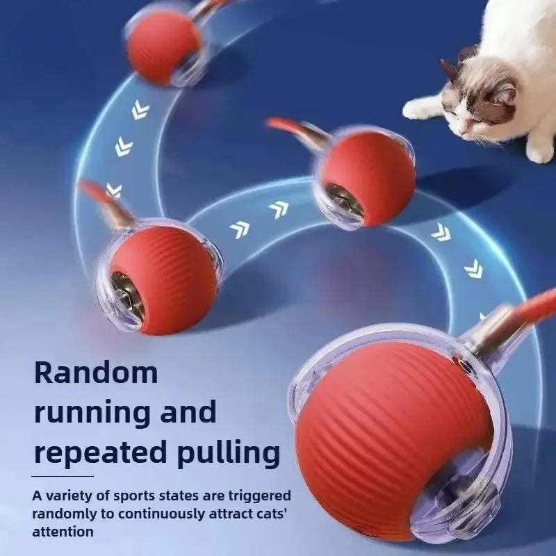 Rechargeable Interactive Cat Ball — Keeps Your Cat Entertained for Hours