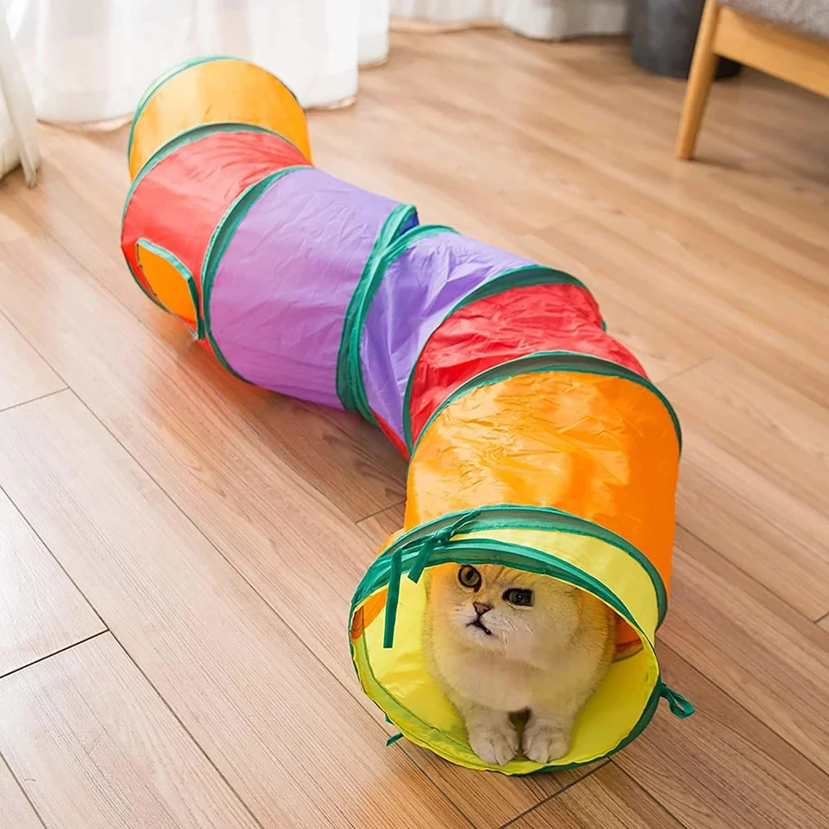 Foldable Cat Tunnel — Interactive Play Tunnel for Curious Cats