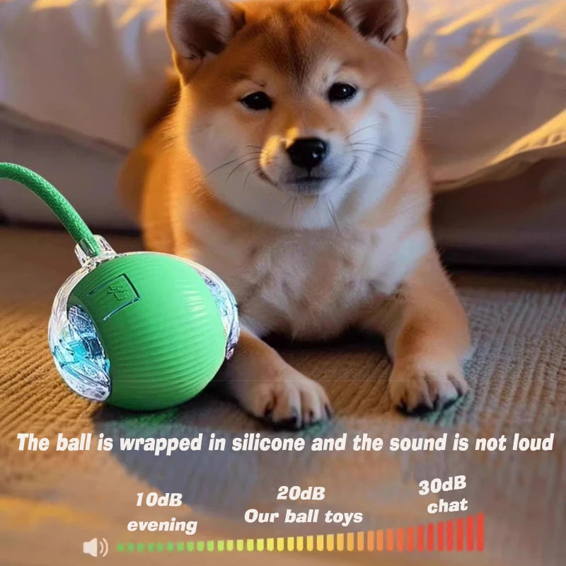 Rechargeable Interactive Cat Ball — Keeps Your Cat Entertained for Hours